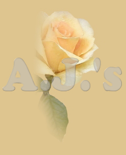 Yellow Rose