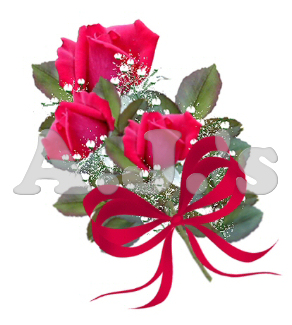 Red Rose Bouquet