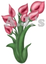 Pink Buds