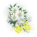 White Daisy Bouquet