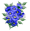 Blue Flowers