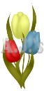 Multi-color Tulips
