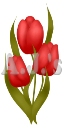 Triple Red Tulips