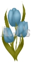 Triple Turquiose Tulips