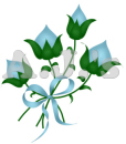 Turquoise Flower Buds
