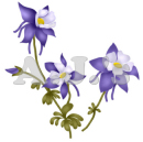 Columbine