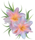 Pastel Lilies