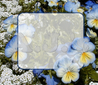 Pansy Tag Frame