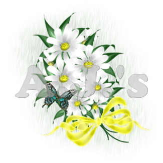 White Daisy Bouquet