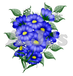 Blue Flowers