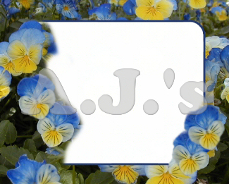 Pansy Frame