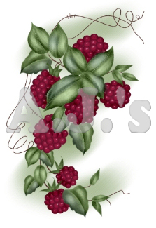 Berries