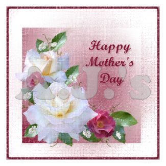 Mother's Day Roses