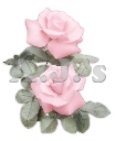 Soft Pink Roses