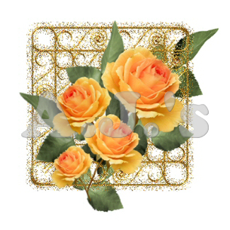 Roses w/ Gold Scroll Work