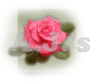 Pink Rose - Green Bkg