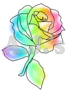 Rainbow Rose