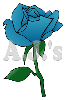 Blue Rose